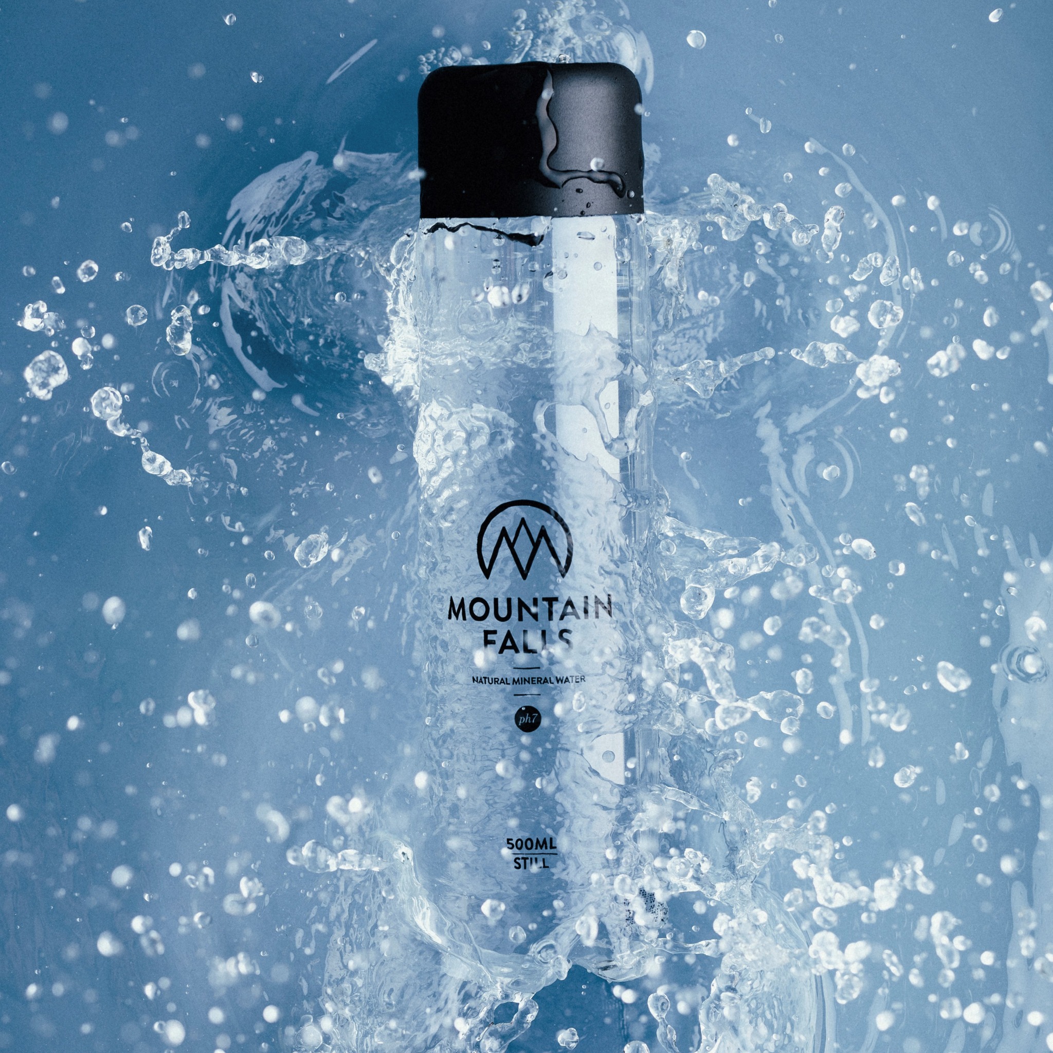 315078828_527515332861093_7070037562400042565_n